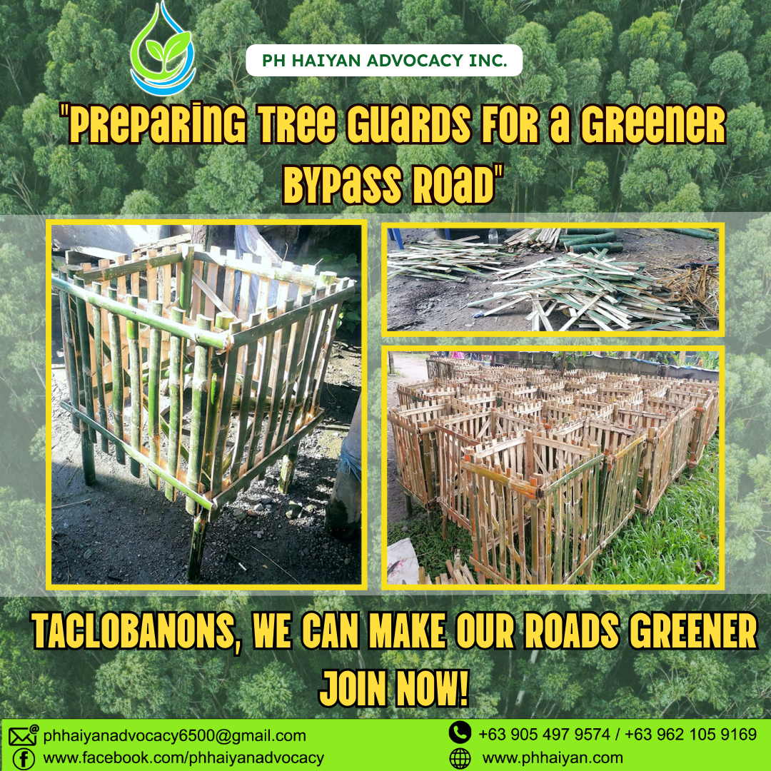 𝗟𝗮𝘂𝗻𝗰𝗵𝗶𝗻𝗴 𝗢𝘂𝗿 𝗧𝗿𝗲𝗲 𝗚𝘂𝗮𝗿𝗱 𝗜𝗻𝗶𝘁𝗶𝗮𝘁𝗶𝘃𝗲