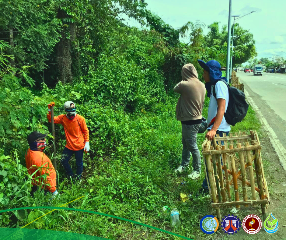 Morning Tree Guard Installation with DPWH