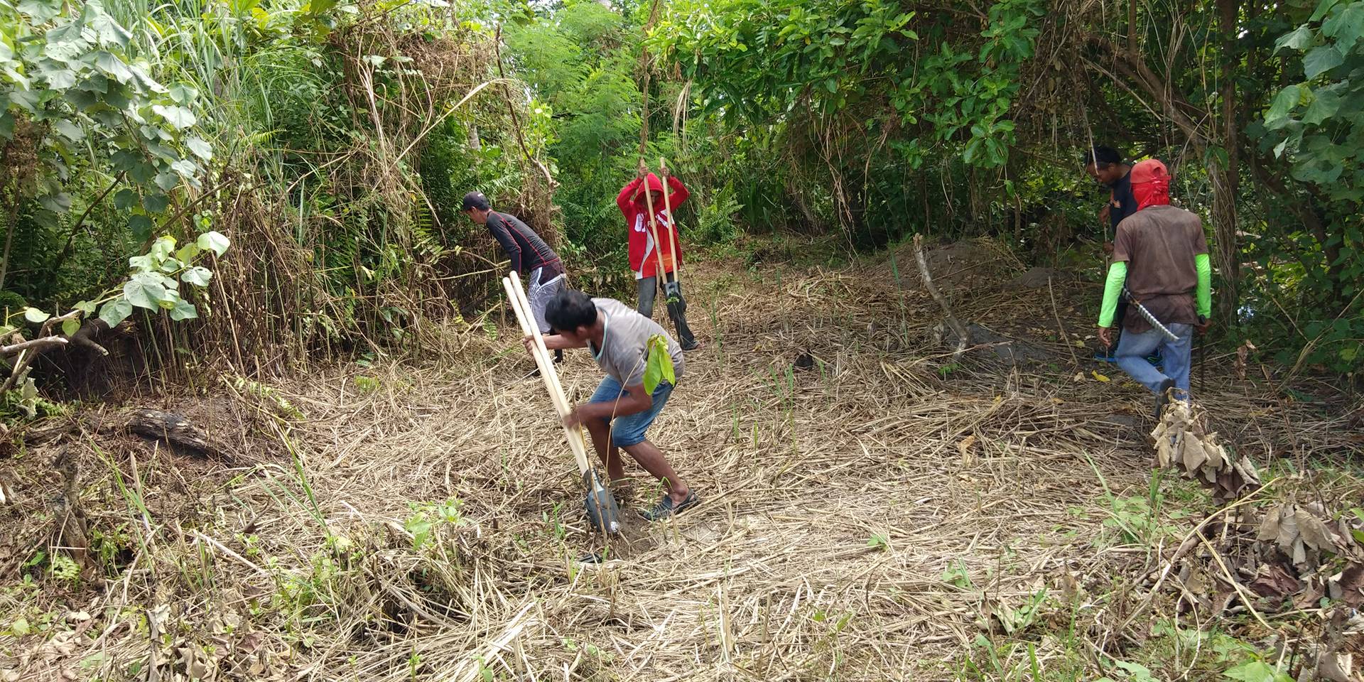 2. Reclaiming the Beach Forest