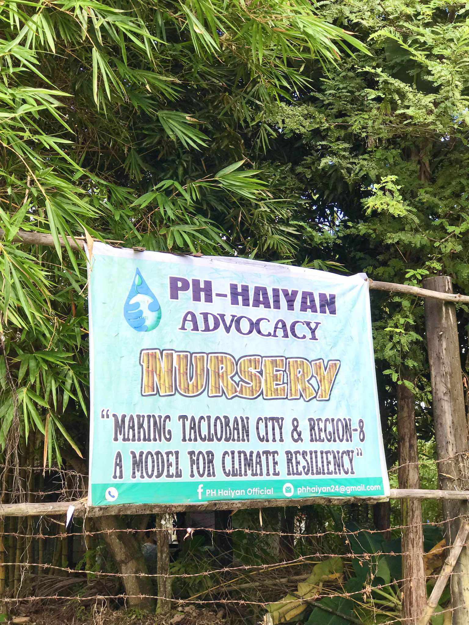 3. Nursery Establishment for Mangrove and Beach Forest Species